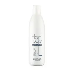 Champú Silver Postquam 250 ml