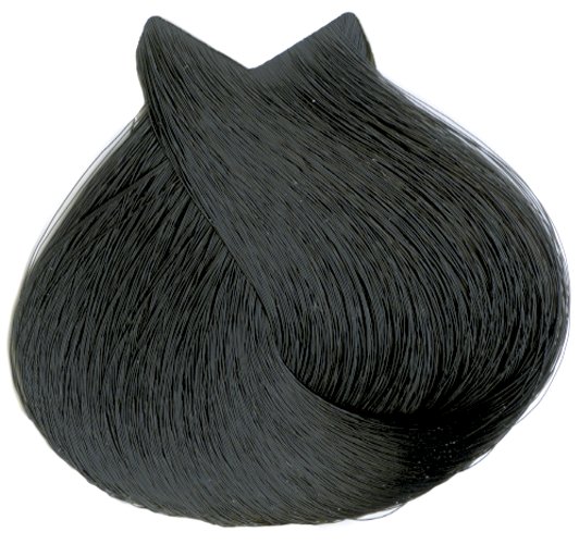 Formato 1 Negro - 100 ml